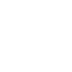 wave_icon